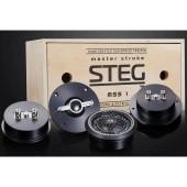 Tweeters STEG MSS 1