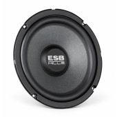 ESB Audio 1.6K2X speakers