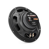 Gladen Gamma 200.2 AC speakers