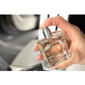 Car perfume Fresso Paradise Spark (50 ml)
