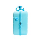 Carbon Collective Hard Shell Detailing Carry Case - Teal
