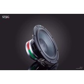 STEG SS-10 subwoofer