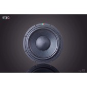 STEG SS-10 subwoofer
