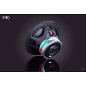 STEG SS-10 subwoofer