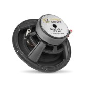 Audible Physics Avatar 6.1 speakers