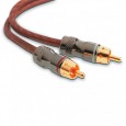 Focal EY 05