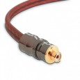 Focal EY 05