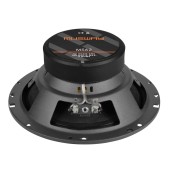 Musway MS62 speakers