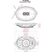 Retro speakers RetroSound R-693N