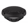 Rockford Fosgate T1SG-10