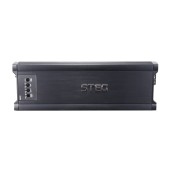 Steg S1000