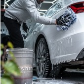 Tershine Wash Mitt
