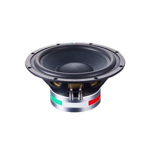 STEG SS-10 subwoofer