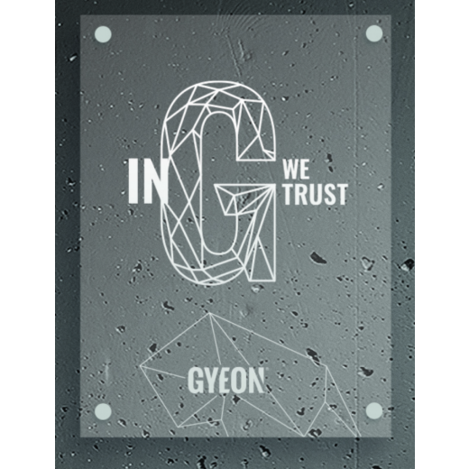 Transparent LED panel Gyeon LED Type 2 In G we trust 50x67 cm