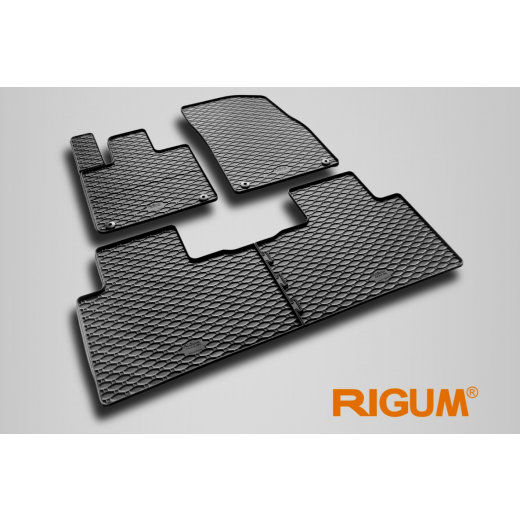 Rigum rubber car mats for Xpeng G6 (2023-)