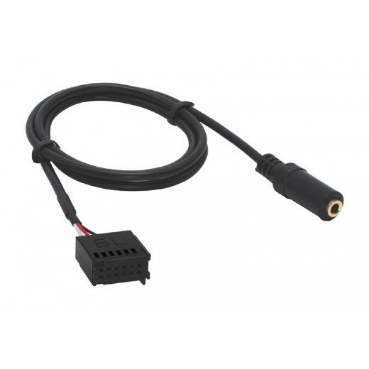 AUX input for Ford car radios