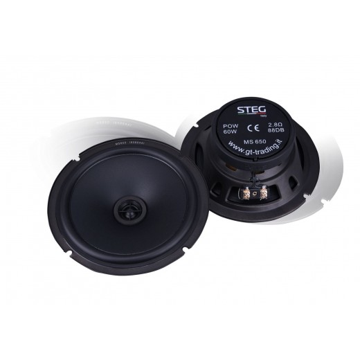 STEG MS 650 coaxial speakers