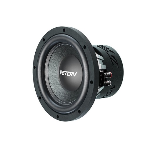Eton PW 8 subwoofer