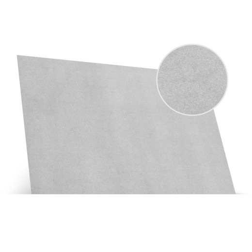 Light gray carpet SGM Carpet Light Grey