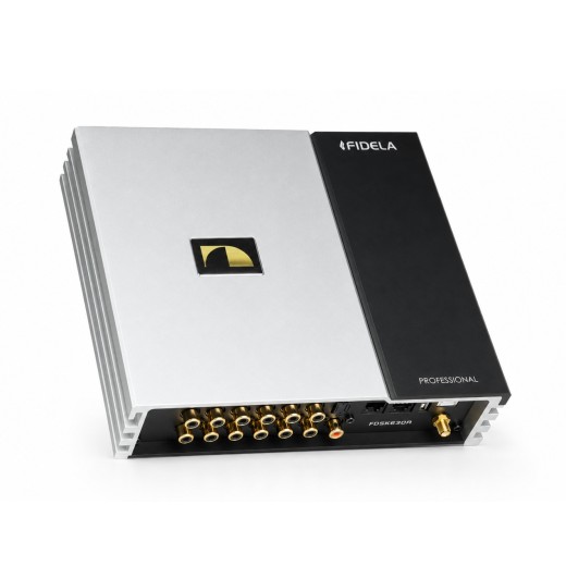 Amplifier with DSP processor Nakamichi FDSK530A