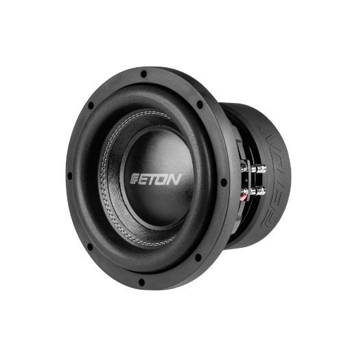 Eton MW 10 subwoofer