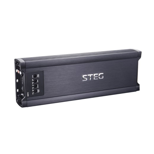 Steg S1000