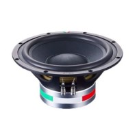 STEG SS-10 subwoofer