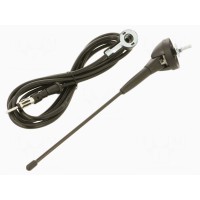 Antenna 4carmedia ANT.24