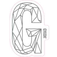 Gyeon G Sticker Silver (400x254.8mm)