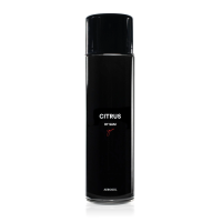 Sam's Detailing Citrus Aerosol Air Freshener