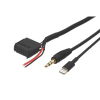 Ford AUX and Apple Lightning adapter