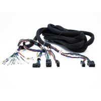 Wiring harness Connection CN MX EXT.560 6CH