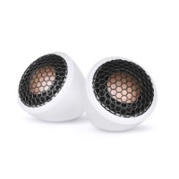 Loudspeakers Audible Physics RAM 1 SR