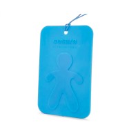 Mr&Mrs Fragrance Cesare Scented Card New Car