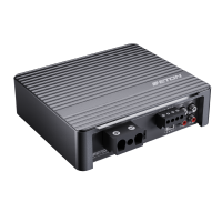 Eton MA 2 amplifier