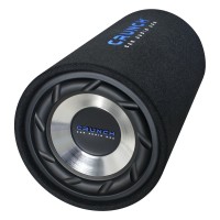 Crunch GTS250 subwoofer