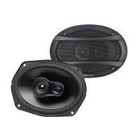 Nakamichi NSE-6948 speakers