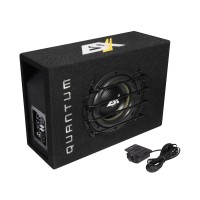 ESX QXB8A active subwoofer