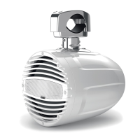 HTX 8 M-CL-TW boat speakers