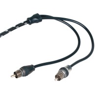 Rockford Fosgate RFIT-20
