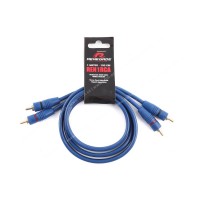 Renegade REN1RCA