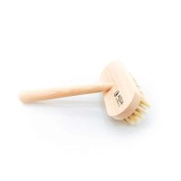 Aqua Brush
