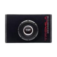 Active subwoofer ESB Audio 3.WB6